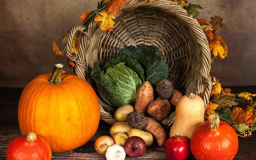 The Heart of Thanksgiving: A Celebration of Gratitude and Togetherness